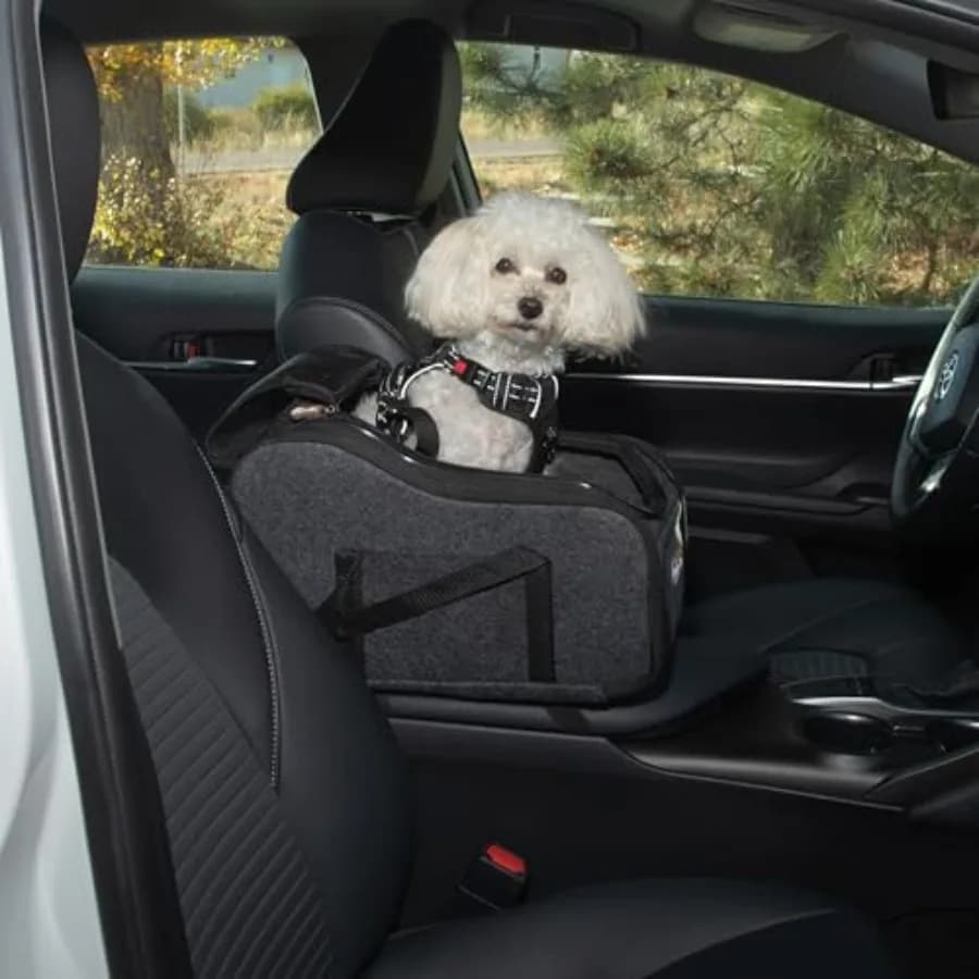 Seggiolino Auto per Cani e Gatti Center Dog, Trasportino Rialzato Sicuro da Bracciolo con Cinghia di Sicurezza, Chiusura con Cerniera, 2 Tasche, Lavabile