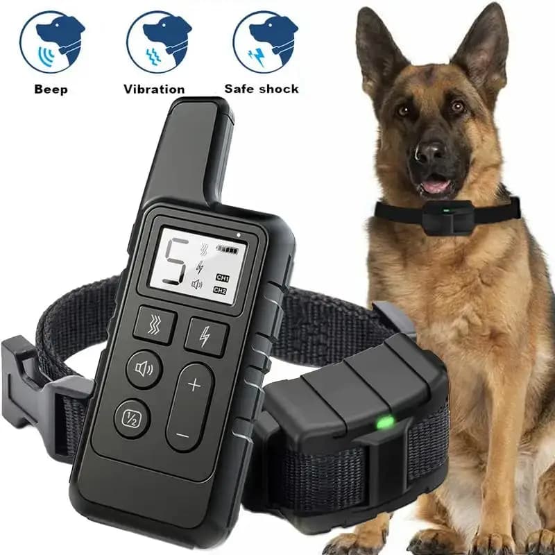 Collare di addestramento per cani ricaricabile Collare di addestramento per cani con telecomando da 1650 piedi con cinturino in nylon regolabile Accessori per addestramento di animali domestici