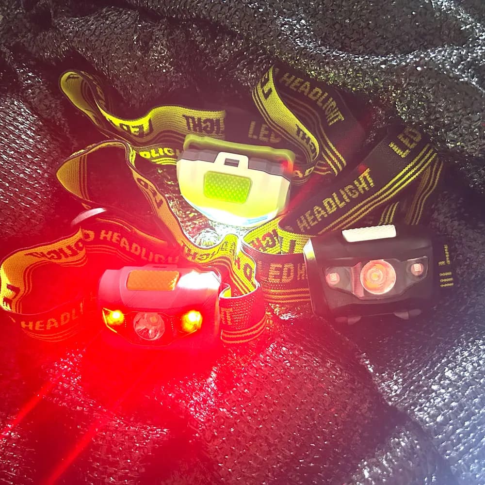 Faro LED bianco rosso Utilizza lampada frontale AAA Avventura all'aperto Luce frontale Lampada a batteria a secco Flash Torcia a 4 modalità Equitazione Pesca Caccia
