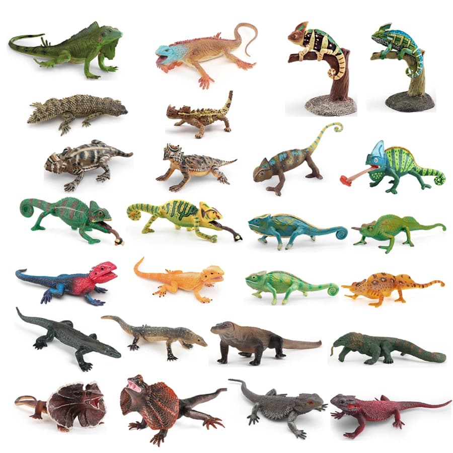 Figurine di rettili in plastica realistica Camaleonte Komodo Drago barbuto Drago Lucertola con volant Monitor Lucertola Iguana Giocattoli educativi