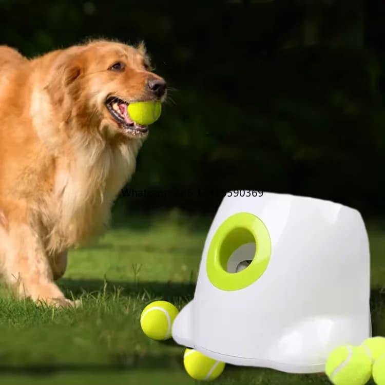 Nuova piccola macchina per lanciare palline da tennis per cani da compagnia e lanciatore automatico di palline Giocattolo per il recupero automatico delle palline per cani