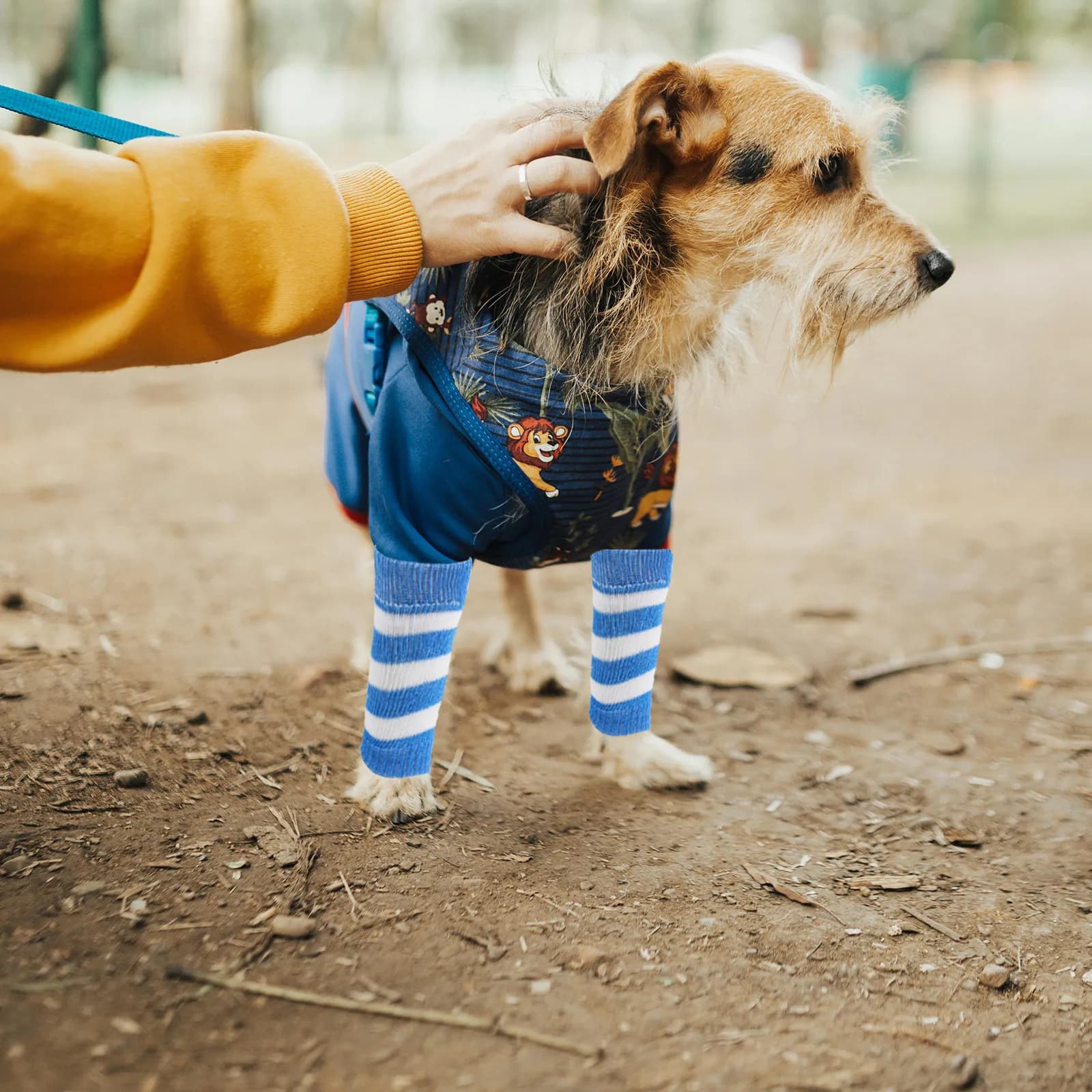 4Pcs Dog Socks Front Back Leg Protective Sleeve Adjustable Knitted Elastic Dog Elbow Wrap Warmers Blue Pet Socks for Dogs