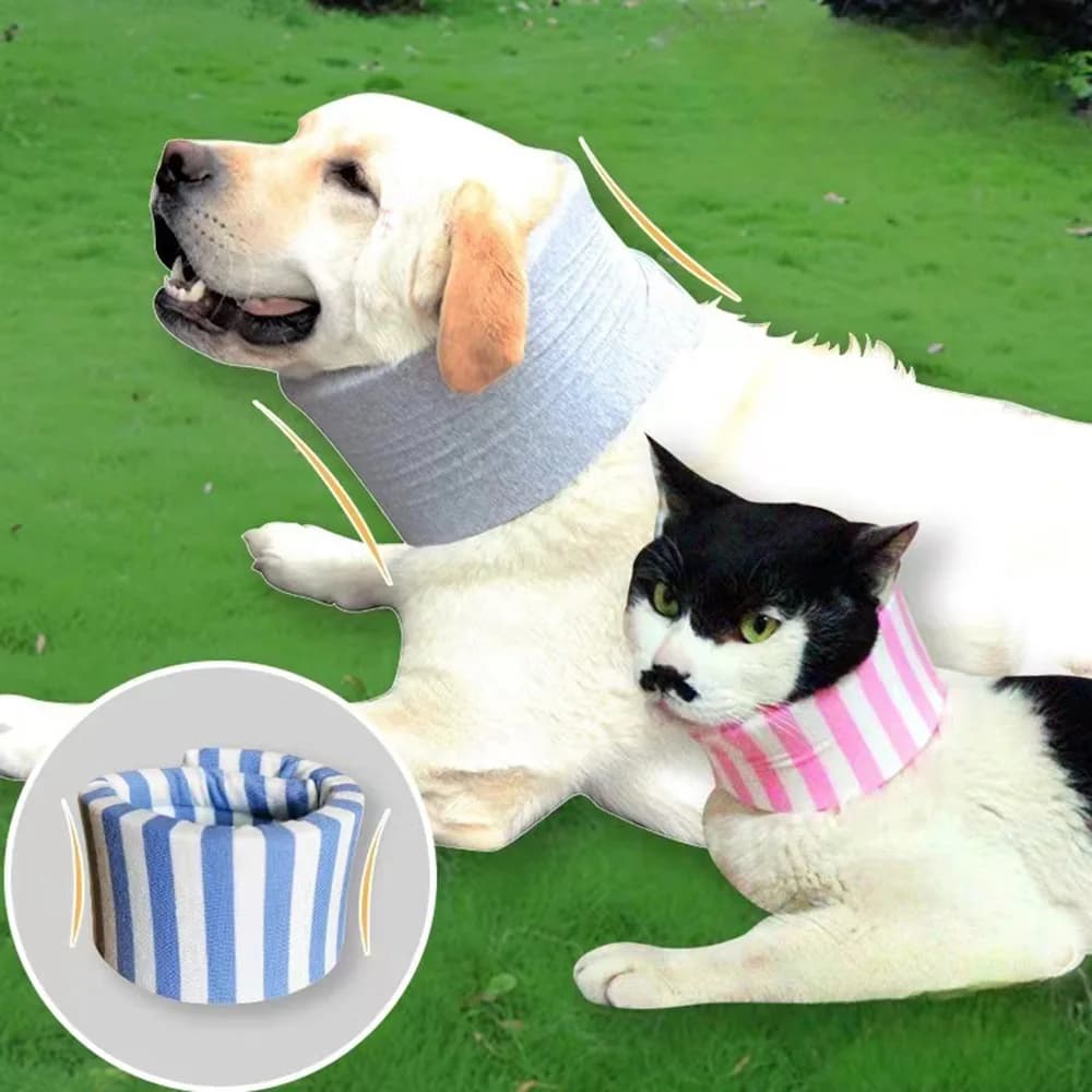 Collare di protezione per cani cani e gatti collo distorsione frattura supporto per immobilizzazione Post-operatoria tutore Anti-leccare traspirante