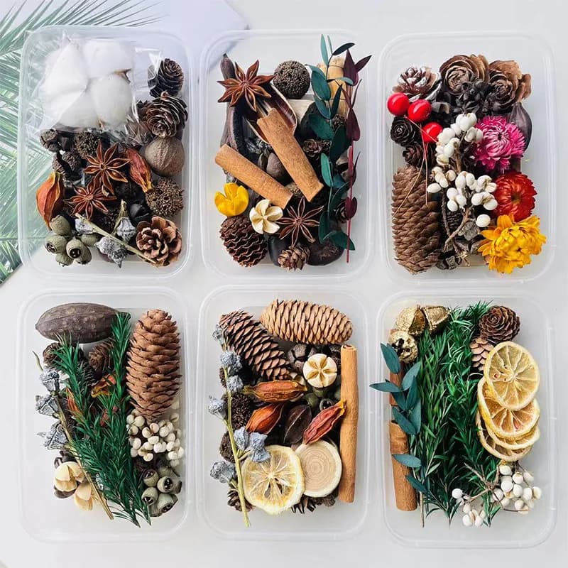 Rustic Forest Style Mixed Dried Plant Kit, Natural Pinecone Fruit Dry Flower DIY Accessories, for Art Project, Home, Party Decor