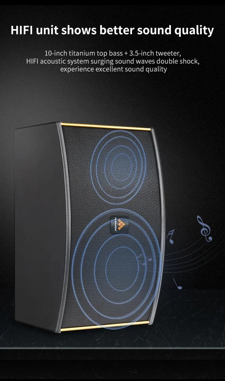 Sistema Karaoke Professionale con Schermo Touch, Set KTV InAndOn, Karaoke Domestico con Amplificatore, Macchina per Cantare