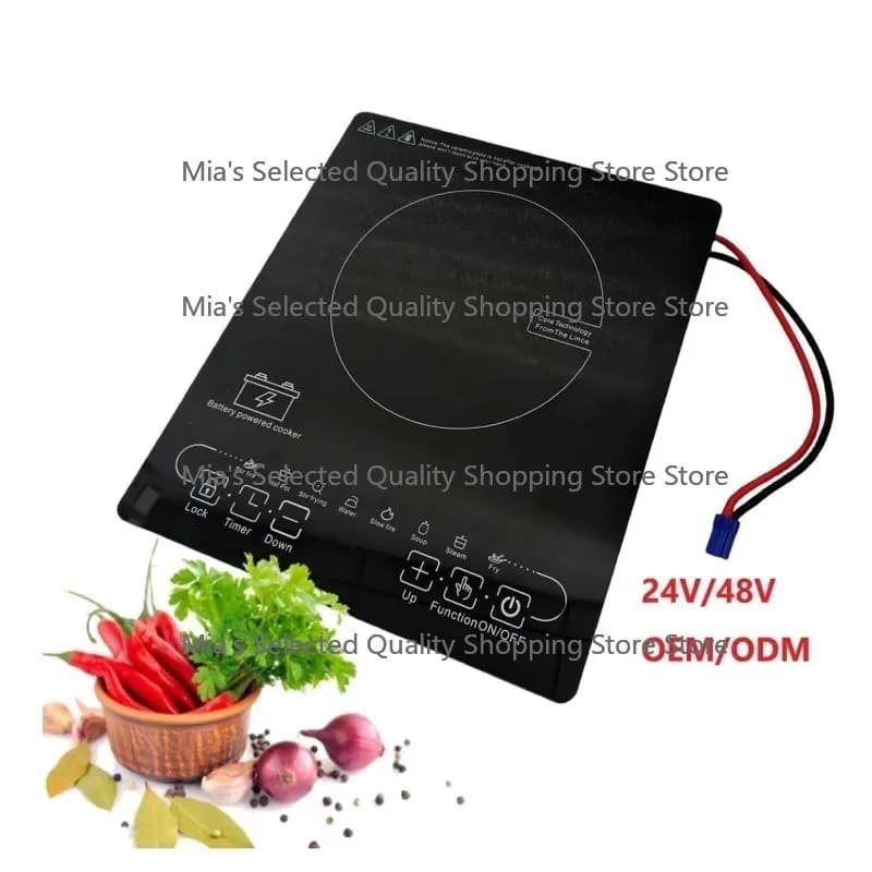 Mini Fornello Solare per Camper, Fornello a Induzione per Campeggio all'Aperto, Alimentato a Batteria DC 12V/24V/48V, Best Seller