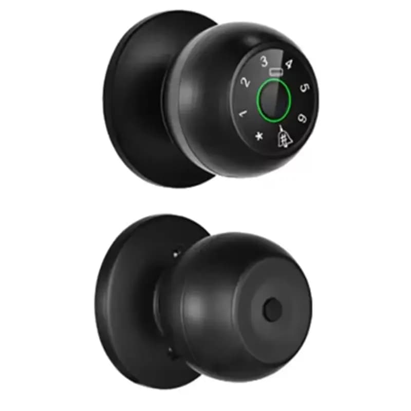 【ADD TO CART】 Tuya Bluetooth Smart Door Blocco impronte digitali Serratura digitale senza chiave Maniglia per porta intelligente Serratura per camera da letto Doo elettronico