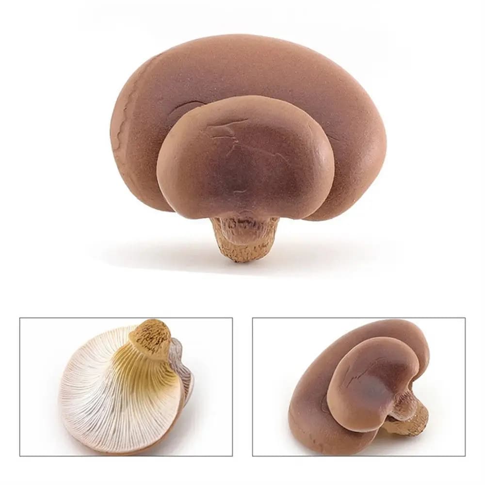 Modello di verdure Fungo Figurine Matsutake Oyste Simulazione artificiale Fungo Pleurotus Pianta Fungo Modello Decorazione del giardino