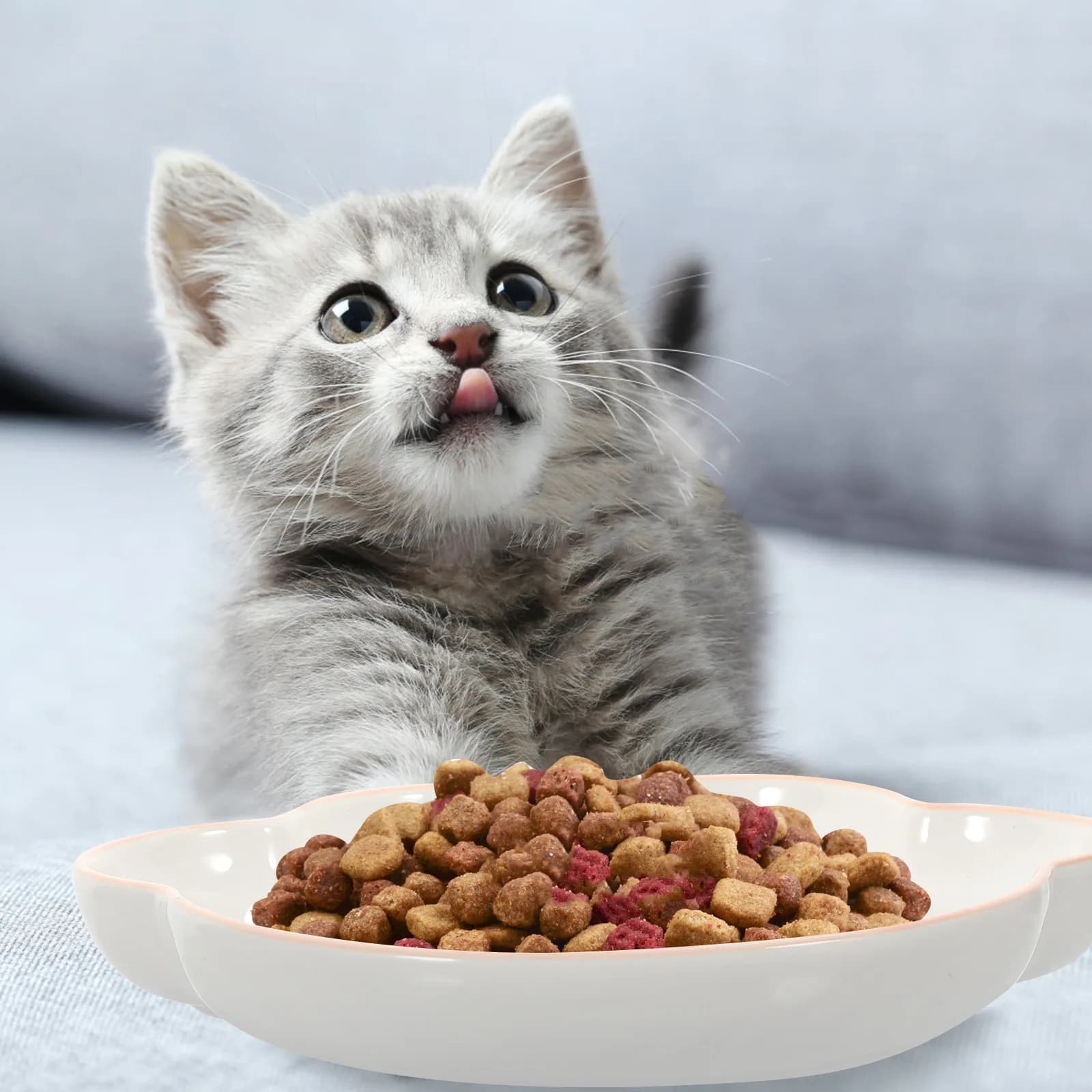 Ciotola in Ceramica a Forma di Zampa di Gatto, Bordi Arrotondati, Antiscivolo, per Alimentazione di Animali Domestici, Sicura per Gatti e Cuccioli
