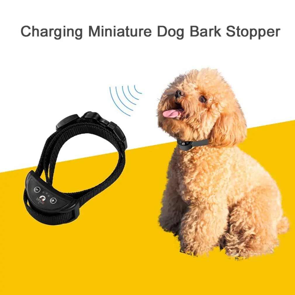 PaiPaitek collare di addestramento per cani vibrazione collare antiabbaio dispositivo di addestramento per cani ricaricabile forniture per animali domestici