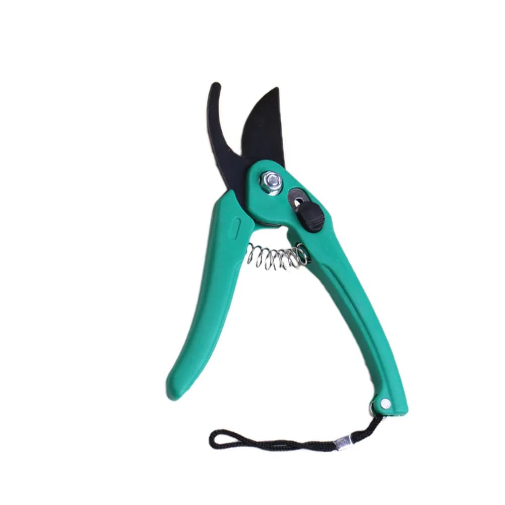 Double blade black pruning scissors for gardening, for goat hoops, alpaca nails, floral branches, domestic use, green