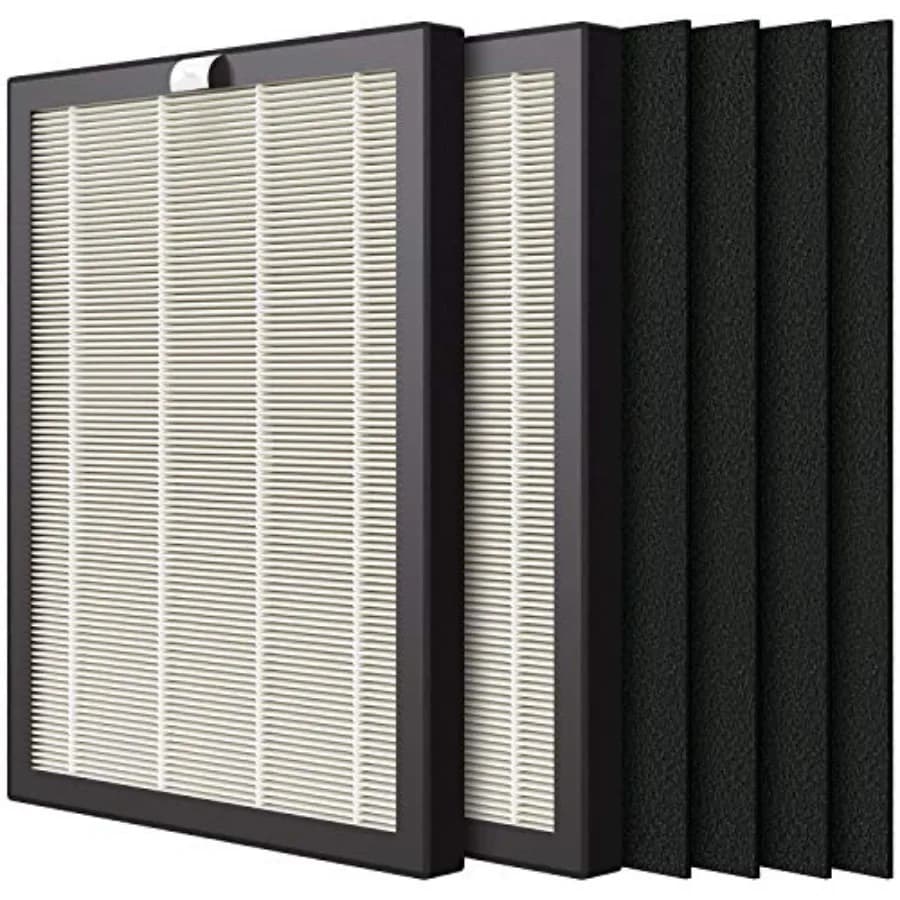 Filtro di Ricambio HEPA Premium 9000, Confezione da 2, Inclusi 4 Pre-filtri al Carbone, Compatibile con Purificatore d'Aria ProHEPA 9000