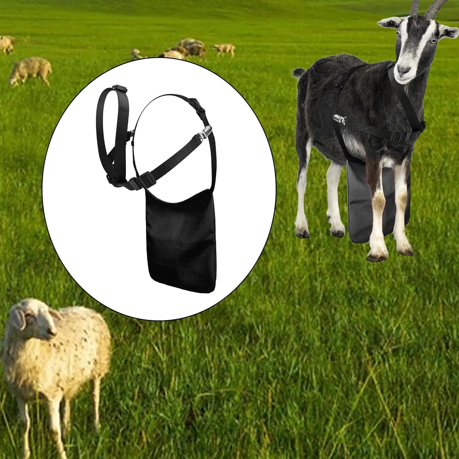Goats Anti Breeding Apron, Lightweight Easy to Use, Farm Multifunction Goat Sheep Anti Mating Guard Breeding Control Goats Skirt