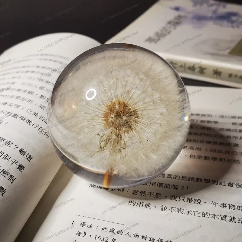 Crystal Ball Ornament Preserved Dandelion Daisy Resin Creative for Home Entrance Bedroom Desktop Holiday Gift Decoration