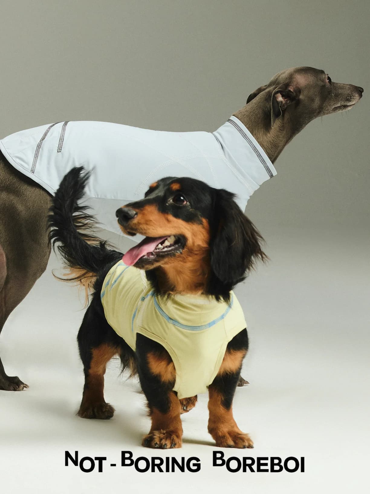 Gilet per Cani Fresco e Traspirante ad Asciugatura Rapida per Esterni, Abbigliamento alla Moda per Animali Domestici, Protezione Solare per Bassotto e West Highland White Terrier