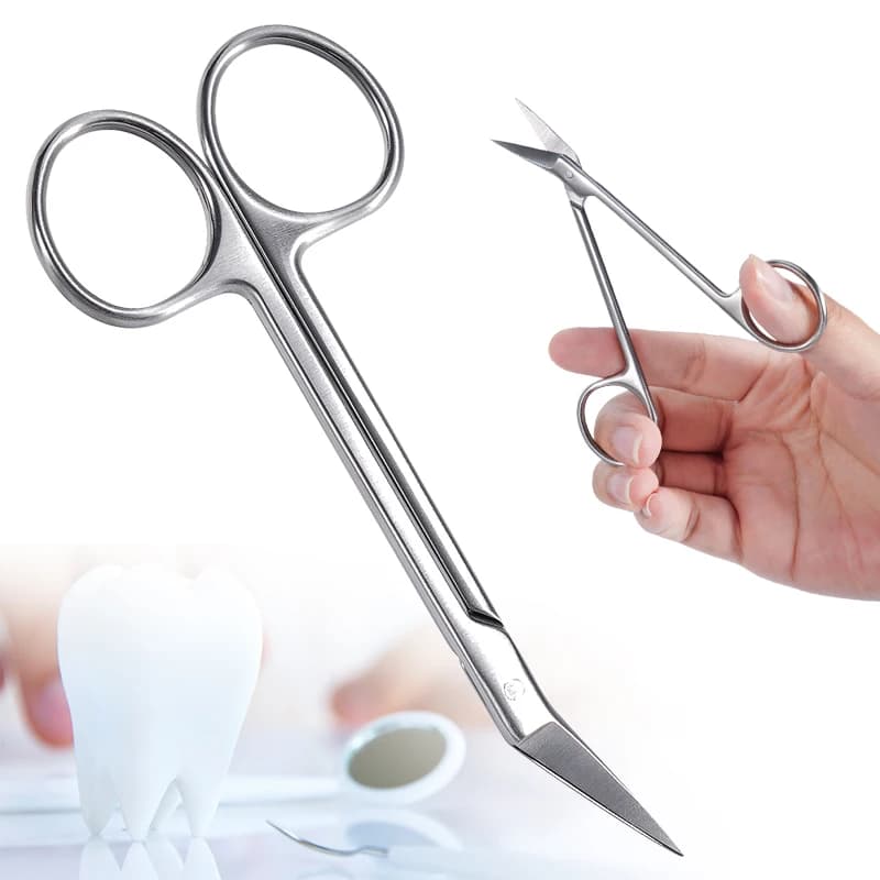 1PC Forbici Chirurgiche Dentali In Acciaio Inox Testa Curva Lama Pinze Chirurgiche Ad Angolate Strumento di Odontoiatria Medica