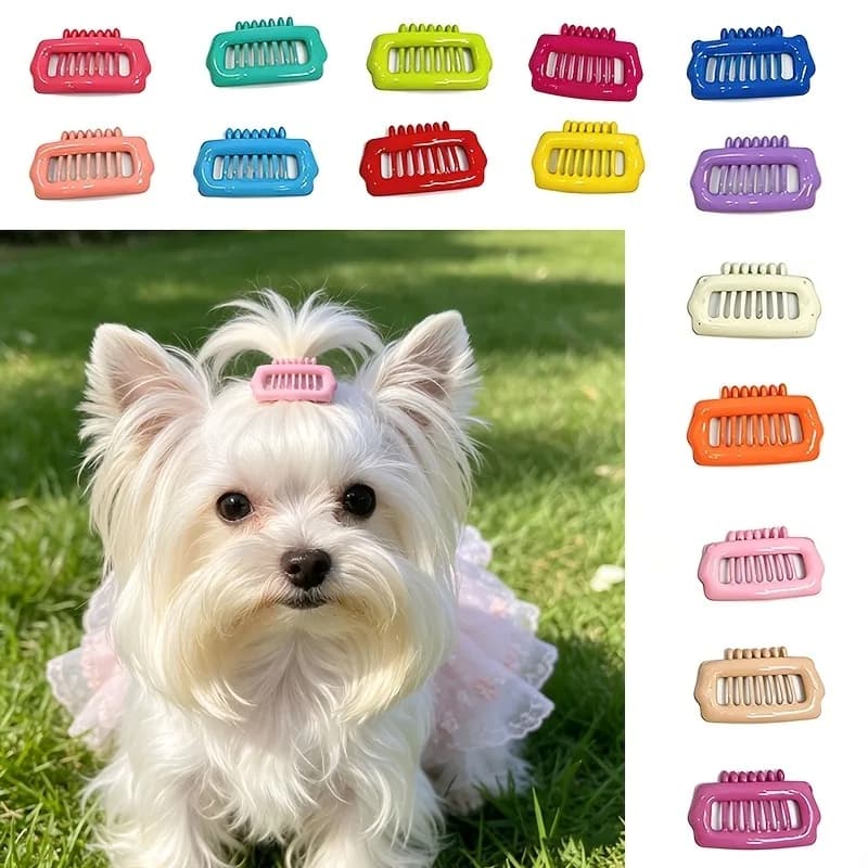 Cute Pet Hair Clips Random Color Glossy Hairpins for Maltese Yorkshire Dogs Puppy Grooming Accessories