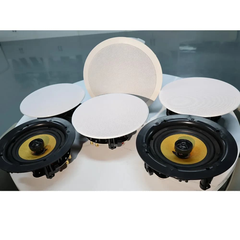 Bluetooth Speaker WiFi TLF Ceiling Speaker Home Theater 5.1 Speaker Wireless TV used in living/kitchen/bathroom/bedroom