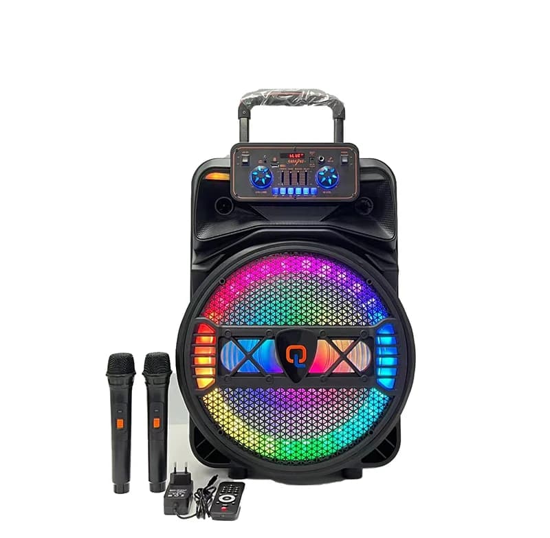 Altoparlante Portatile da 15 Pollici di Grande Successo, Sistema Hi-Fi Bluetooth con Microfono per Karaoke e Trolley