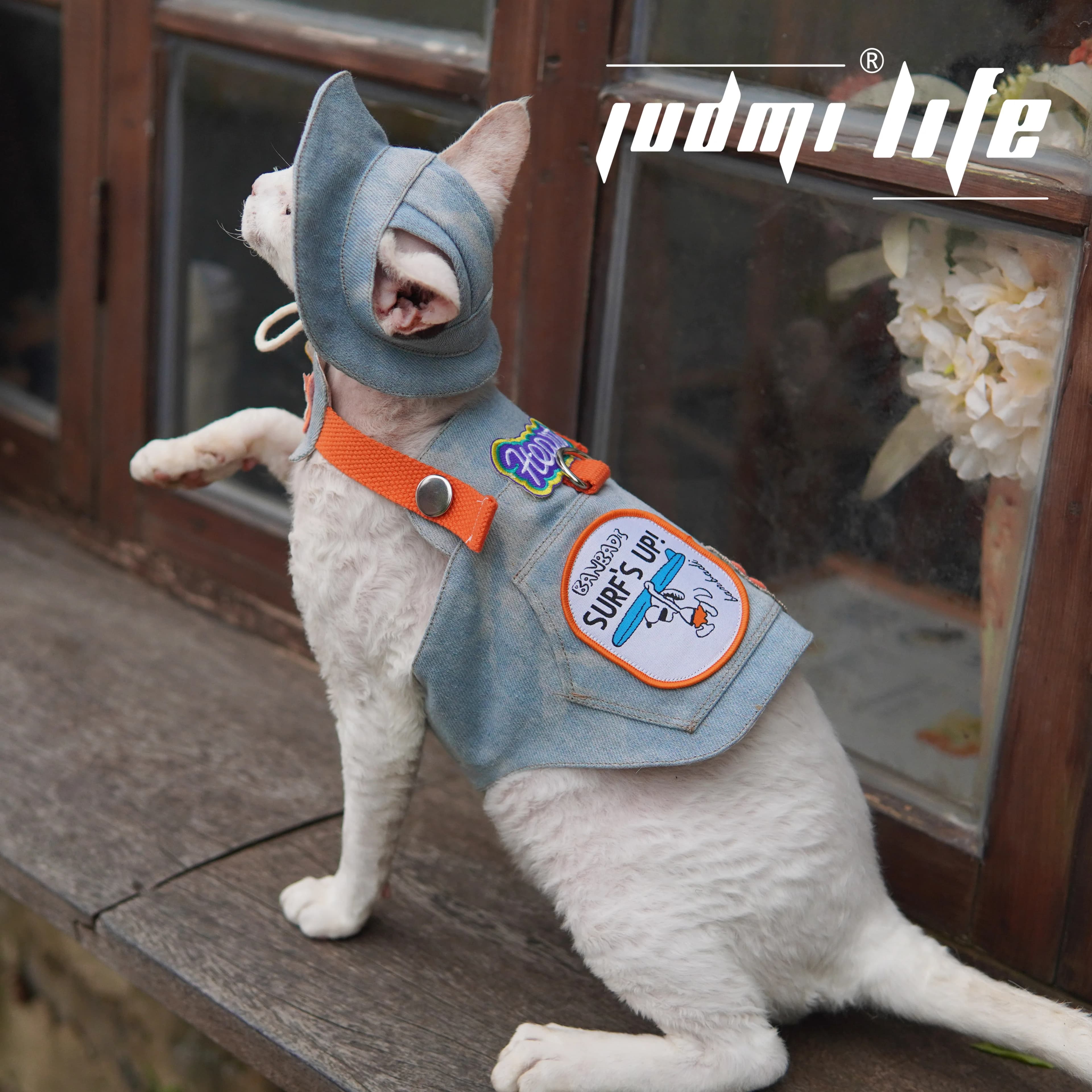 JUDMILIFE Devon Kit di trazione pettorale e schiena per gatti ricci senza peli Pet Cowboy Carrier Gilet da campeggio trainabile per gatti da skate all'aperto