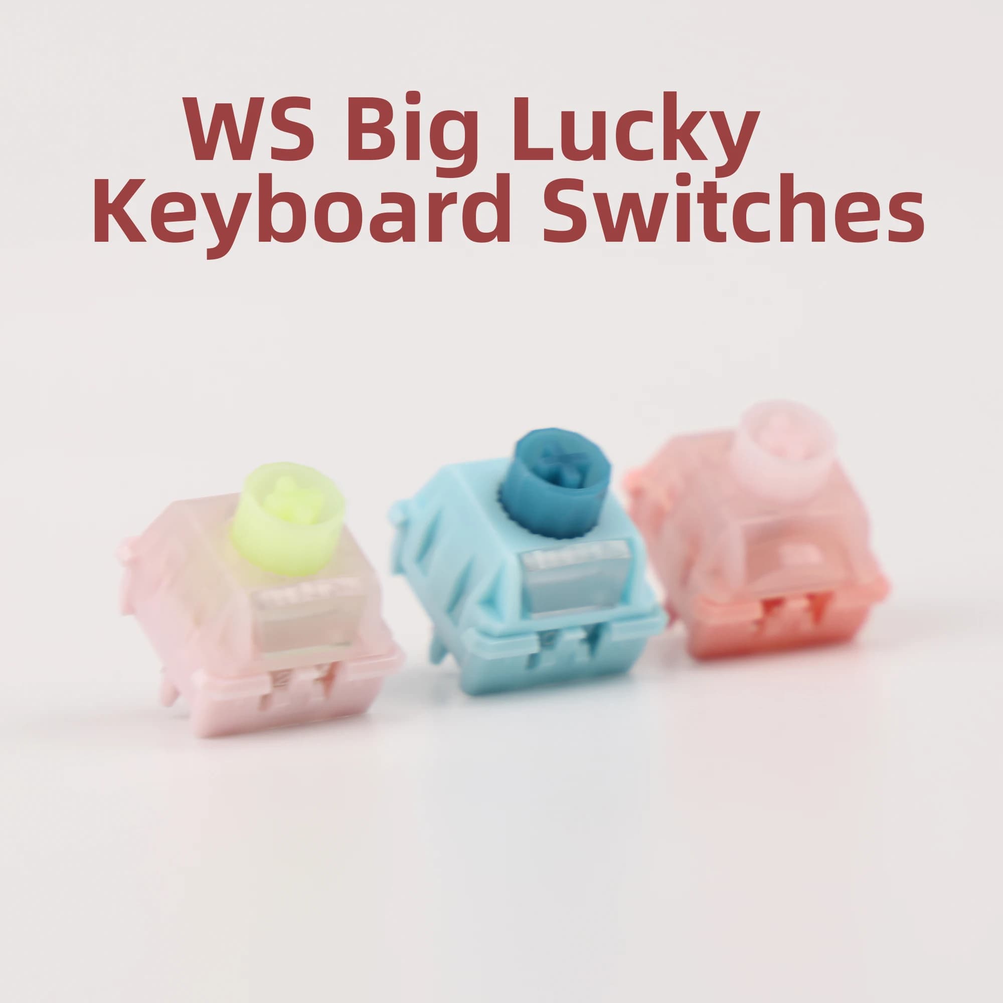 Keyboard Switches WS Big Lucky RGB 5 pins pre-lubricated with LED diffuser for MX mechanical keyboards