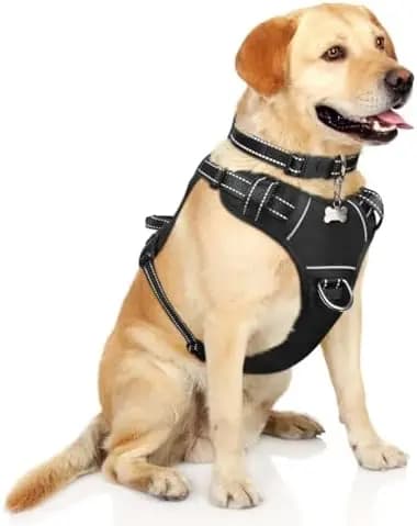 Pettorina Regolabile per Cani Winsee - Gilet Riflettente e Clip per Guinzaglio per Tutte le Taglie