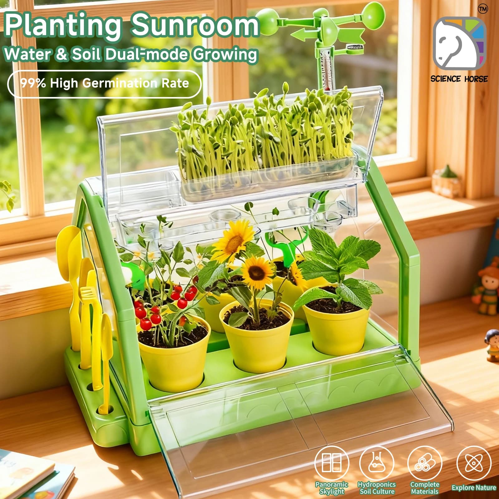 Kit Serra per Piante Fai-da-Te SCIENCE HORSE, Vaso per Esperimenti Scientifici, Casa dei Fiori per Bambini, Miglior Regalo per Feste e Compleanni