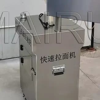 Macchina Elettrica per Pasta Domestica 220V, Macchina per Fare la Pasta in Acciaio Inossidabile