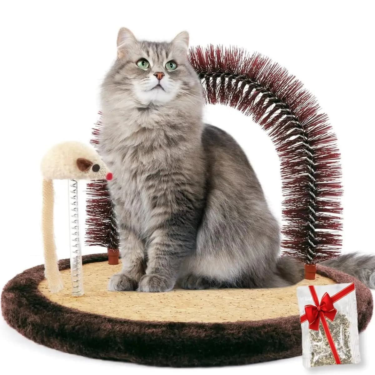 Spazzola per Gatti Originale con Spazzola ad Arco, Tappetino per Grattare in Legno Pesante, Palo per Massaggiare e Giocattolo per Gatti da Interno