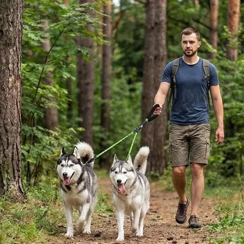 Y1UD Maniglia comoda Guinzagli per cani staccabili Chiusura sicurezza riflettente Elevati punti