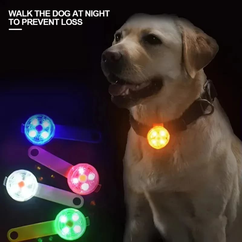 Collare per cani a LED ricaricabile tramite USB Luce di sicurezza Impermeabile Tracciamento di animali domestici Ciondolo luminoso Luminoso regolabile Corsa notturna Camminata