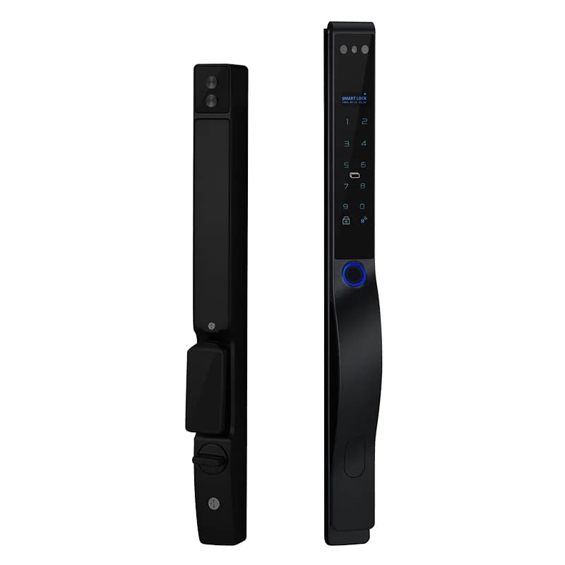 Smart Lock in alluminio con ponte rotto impermeabile App Tuya Wifi Sblocca il riconoscimento facciale della vena del palmo con occhio di gatto