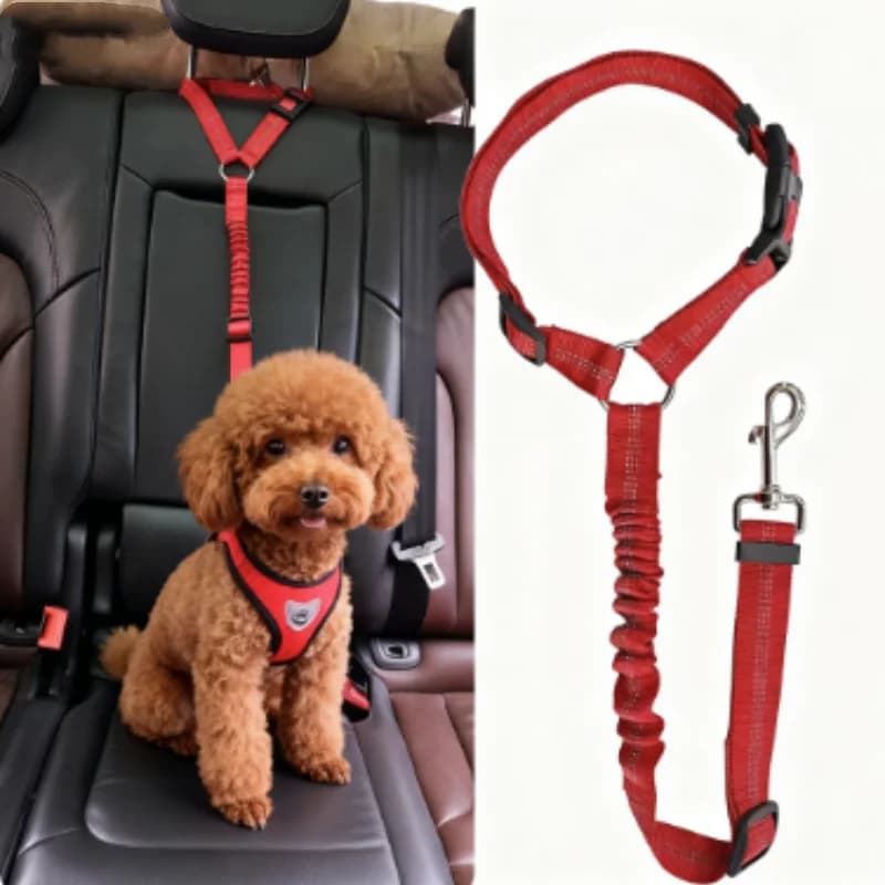 Cintura di Sicurezza Riflettente per Cani, Collare per Cuccioli, Guinzaglio per Gatti, Accessorio da Viaggio per Cani Piccoli, Articoli per Passeggiate con Animali Domestici