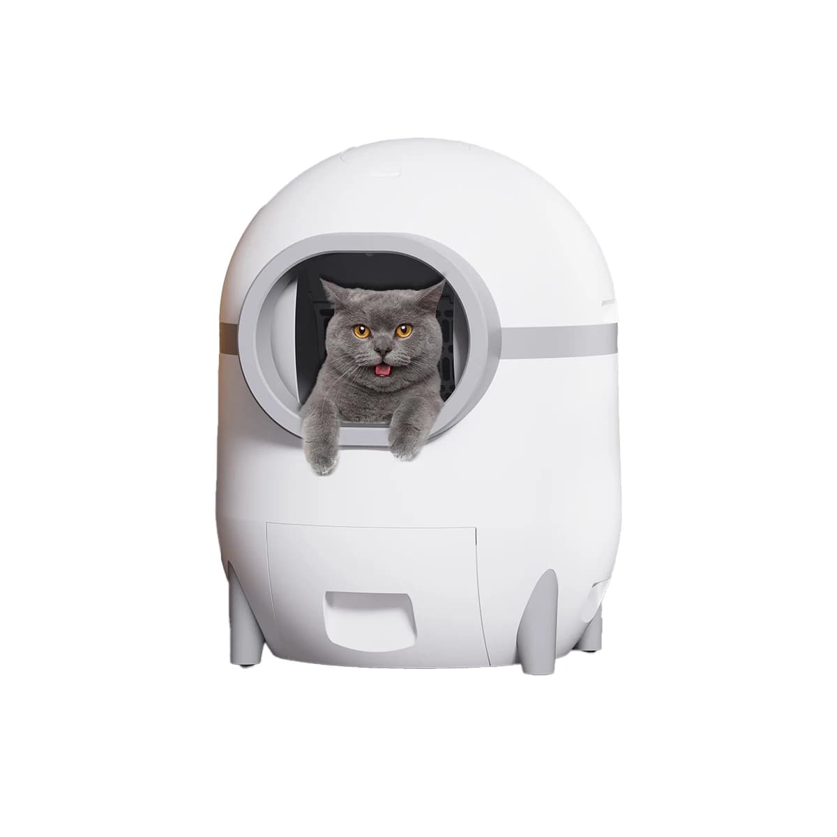 Petdom Toilette automatica per gatti Sabbiera autopulente per gatti Scatola per lettiera intelligente Facile smontaggio e pulizia