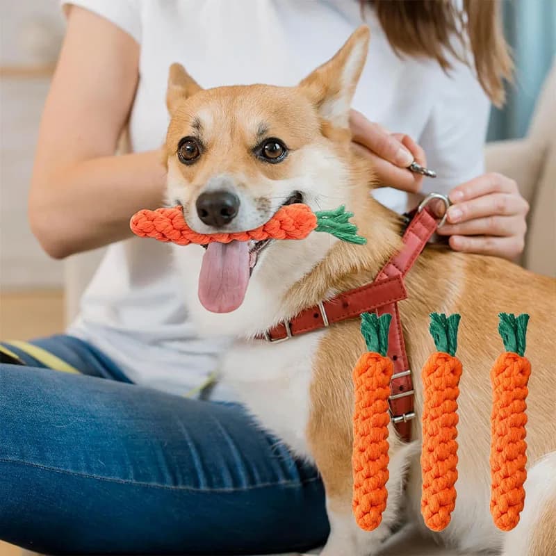 Giocattoli da Masticare per Cani Piccoli, Resistenti ai Morsi, in Corda di Cotone a Forma di Carota, Giocattolo per la Pulizia dei Denti, Accessori per Cuccioli
