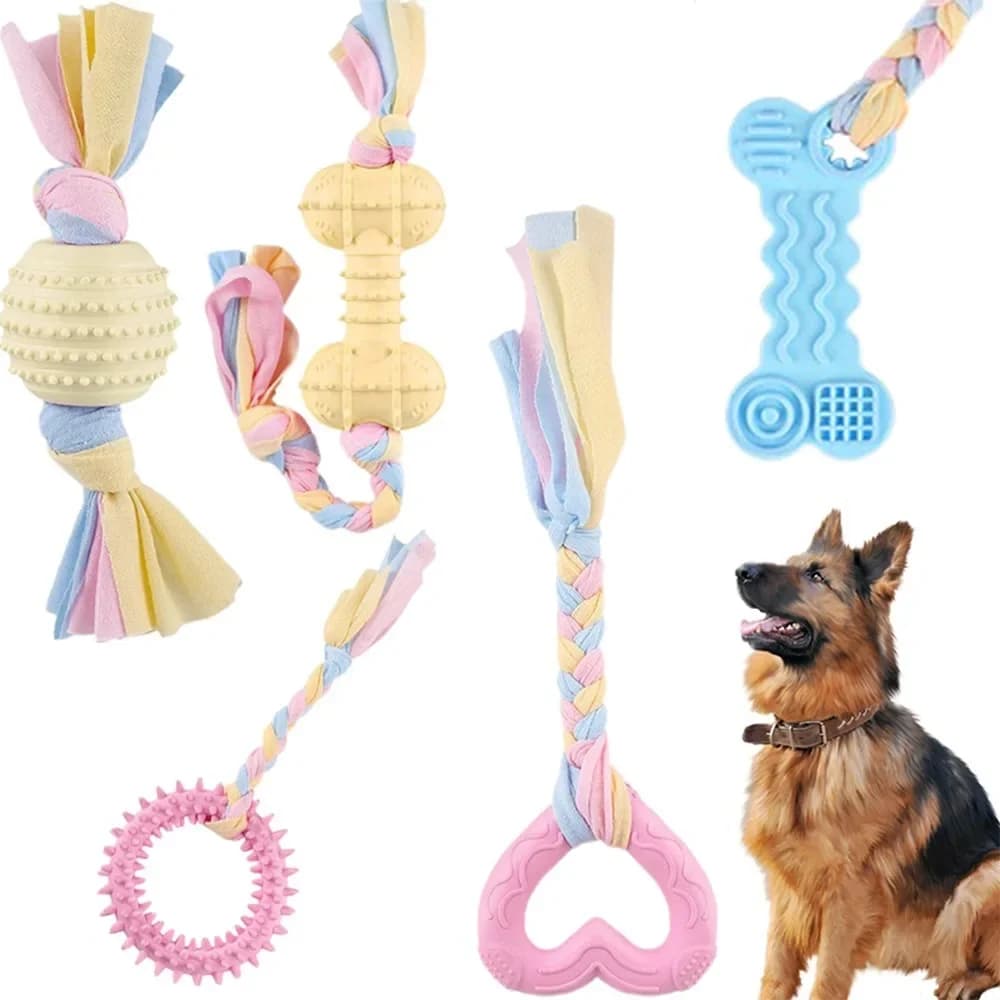 Giocattoli per cani Bichon Frise Teddy Corda intrecciata Nodo Addestramento al coperto Gioco interattivo Rettifica dei denti Pulizia Gomma Animali domestici Giocattolo Forniture