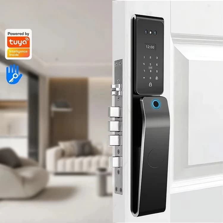 Cina Eccellente nuovissimo design personalizzato produttore Nero Smart Security Smart Door Lock con fotocamera
