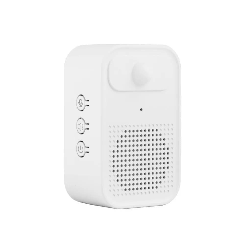 Sensore a infrarossi Campanello di benvenuto Funzione di registrazione Rilevatore di movimento PIR Sensore per porta Allarme antifurto Smart