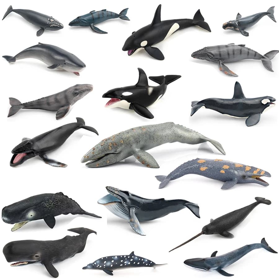 Realistic Humpback Whale Sperm Whale Narwhal Killer Whale Sea Life Animals Model Action Figures Education Decoration Toys