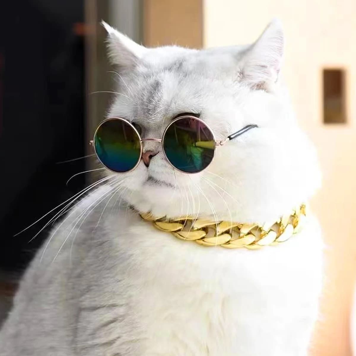 Collare a catena grande in oro per animali domestici, regolabile, premium, per cani e gatti, per decorazioni di stile raffinato ed estetica di alta gamma.