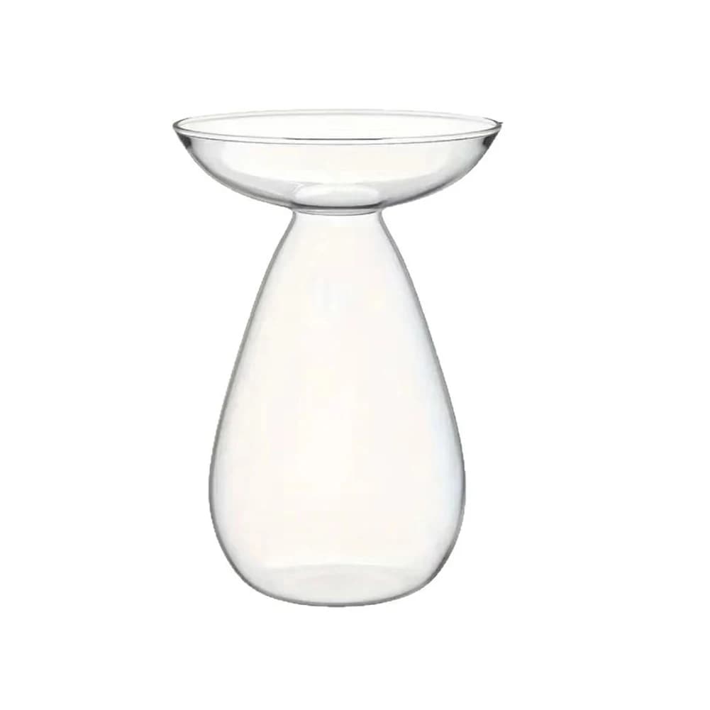 Avocado Seed Starter Vase Transparent avocado hydroponic vase Vese of avocado tree flowers in glass for balcony