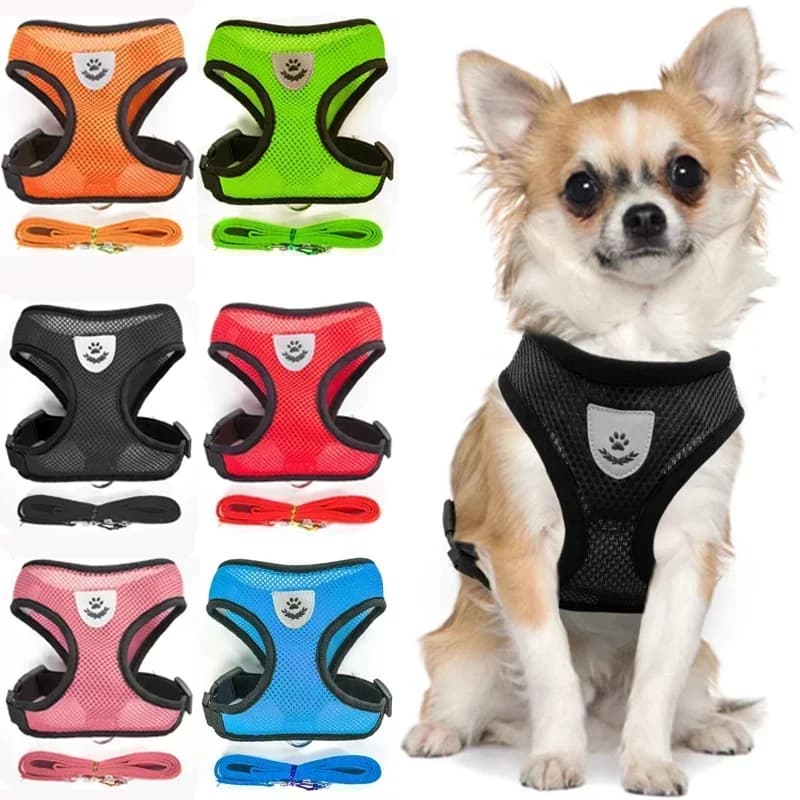 Set di imbracatura e guinzaglio per animali domestici gilet regolabile traspirante in rete morbida per cani e gatti per guinzaglio per cuccioli