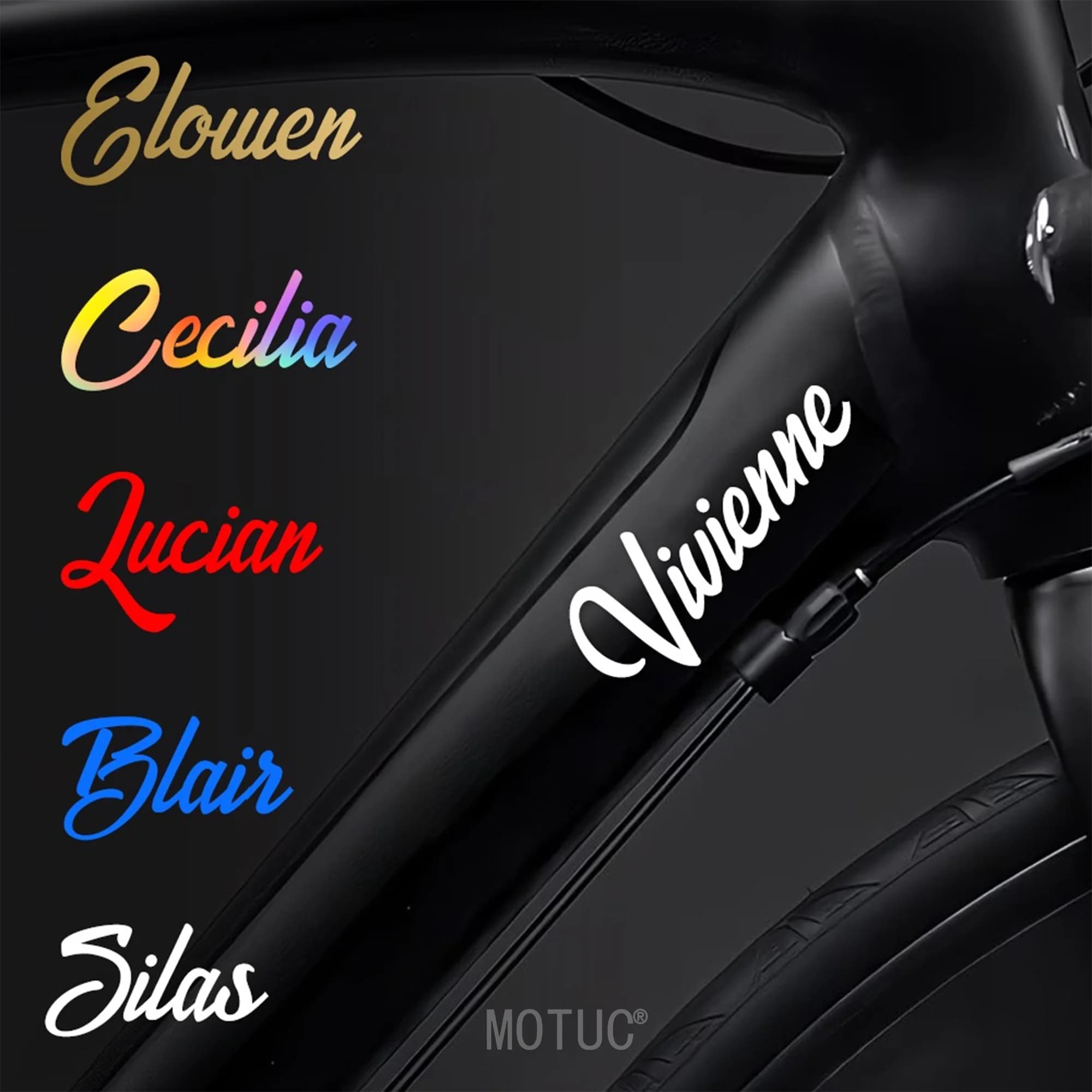 Adesivi Personalizzati per Telaio Bicicletta con Nome, Font Scritto a Mano, Decalcomanie in Vinile Personalizzabili per MTB, Casco Moto