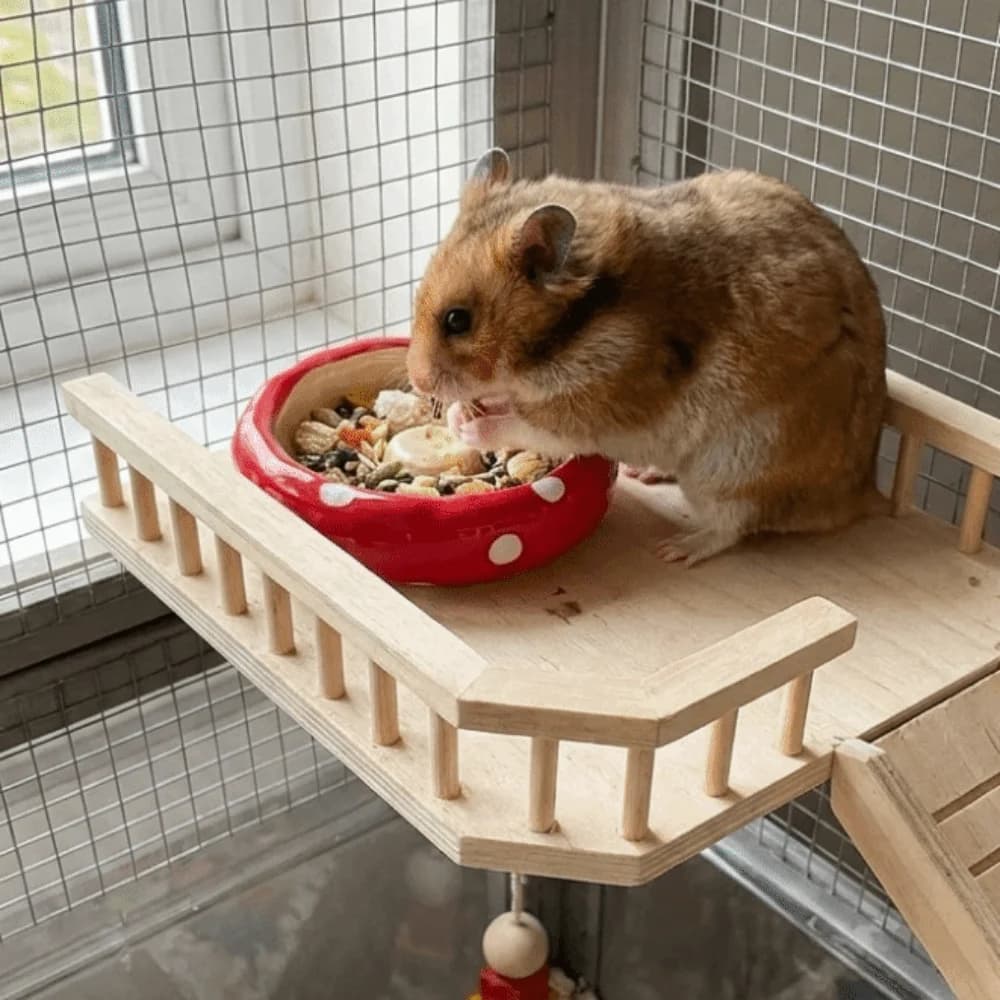 Ciotola in Ceramica per Acqua e Cibo per Criceti, Multifunzionale, Carina Fontanella per Animali Domestici, Vassoio Anti-Rovesciamento Decorativo