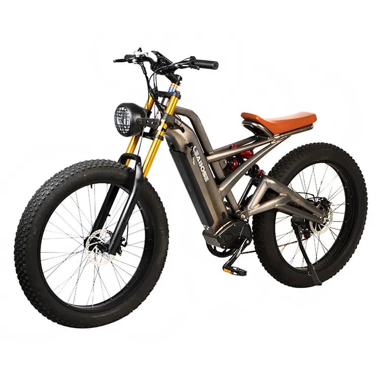 Bici elettrica per adulti con batteria al litio a 2 ruote Potente bicicletta fuoristrada da 26 pollici 20 pollici Bici da carico elettrica