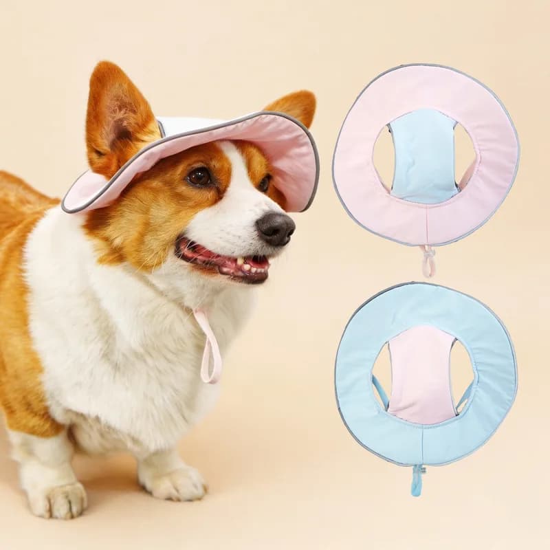 New Pet Bucket Hat Ear Holes Design Light Shading Cap Teddy Corgi Summer Outdoor Accessory