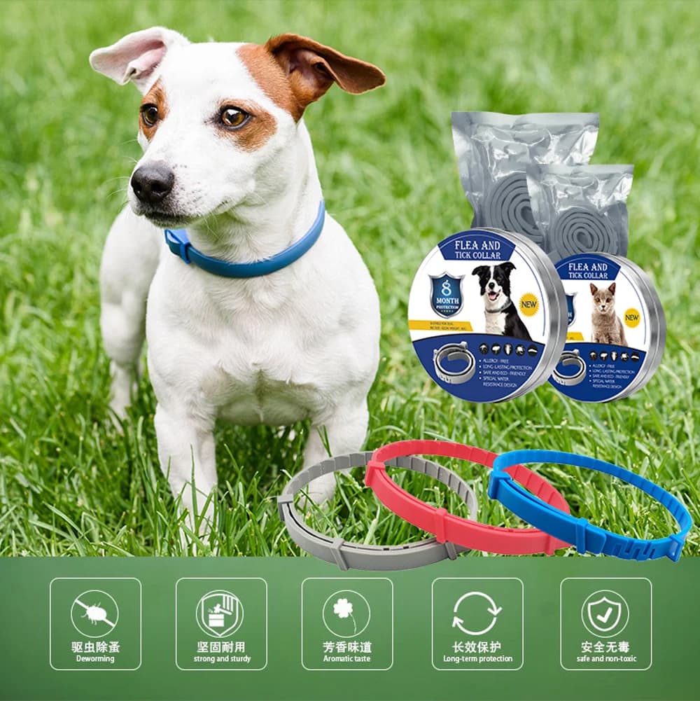 Collare repellente per pulci, zecche e pidocchi per cani e gatti – Collare regolabile impermeabile per il controllo dei parassiti degli animali domestici con oli essenziali naturali