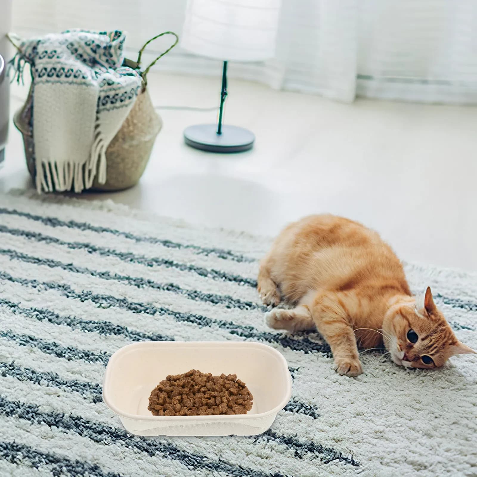 Disposable Bowl for Cats with Double compartment for Water and Food, Internal and Exterior Supply Container, Lyscia Surface, Safe Material for Domestic Animals