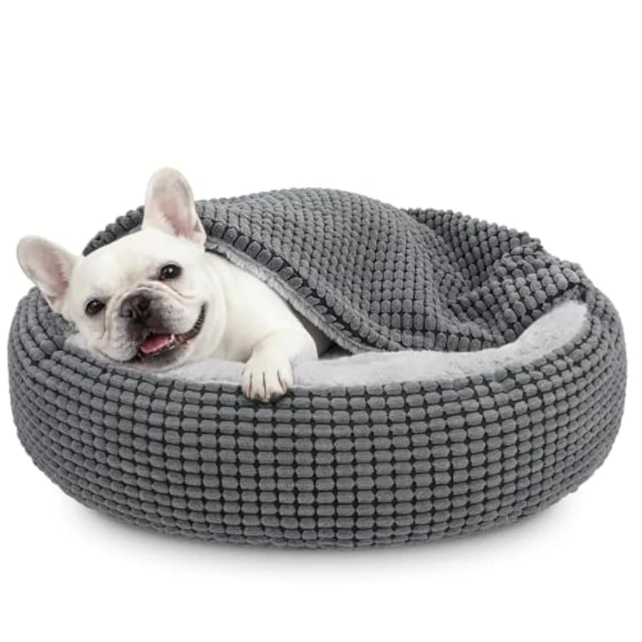 Cuccia per Cani con Coperta Integrata per Cani Piccoli o Gatti, Morbida e Accogliente a Forma di Ciambella, Lavabile Cuccia Rotonda per Cuccioli