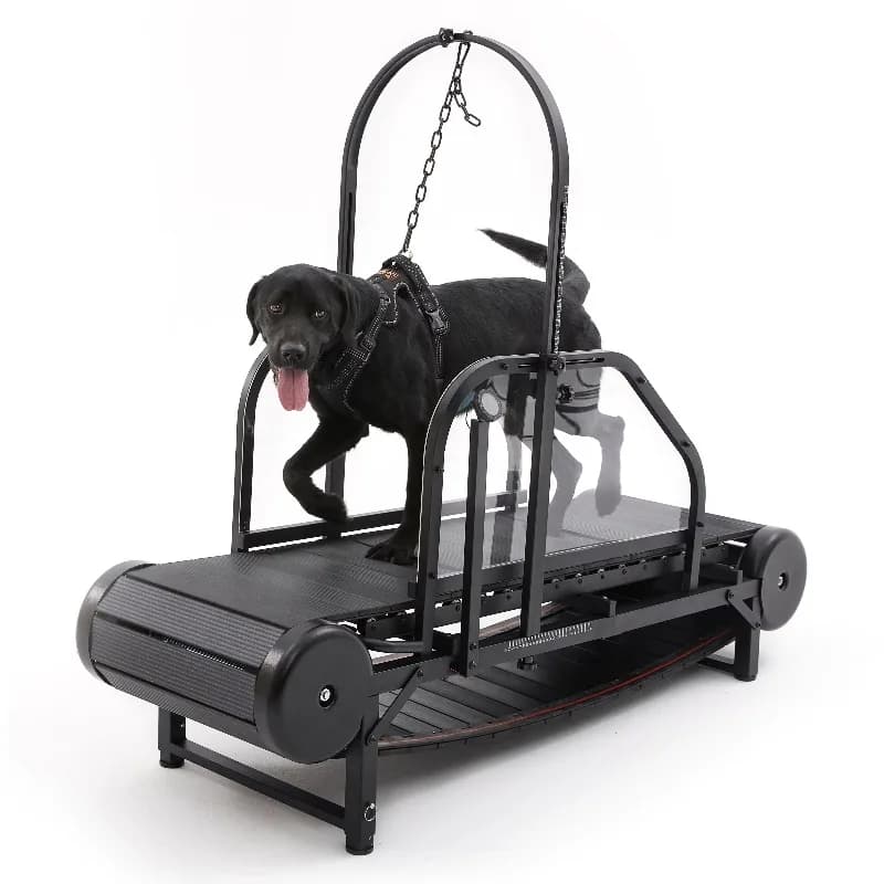 Macchine da passeggio per animali domestici Tapis roulant per cani Cani di grandi dimensioni Macchina da corsa canina per interni ed esterni Attrezzatura per esercizi per cani fitness per la salute degli animali domestici
